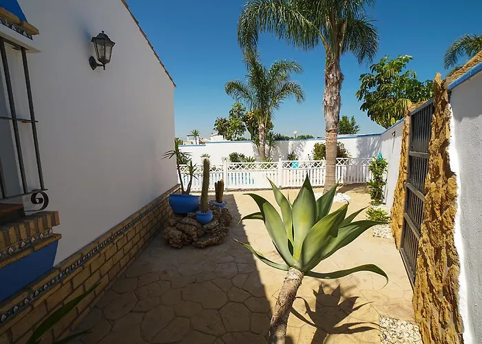 Bananera Con Piscina Privada En * Conil De La Frontera